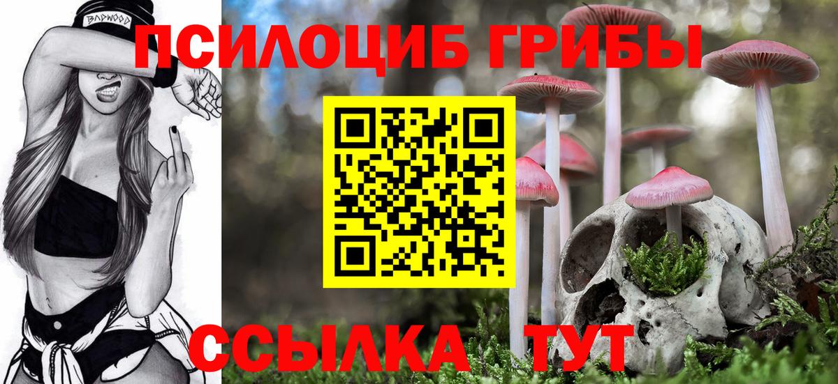 Галлюциногенные грибы мухоморы  Вход с VPN  Дедовск  Галлюциногенные грибы Cubensis 